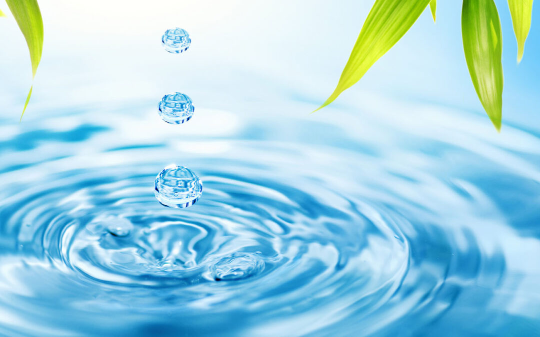 ‘’12’’ TIPS TO SAVE WATER IN YOUR BUSINESS