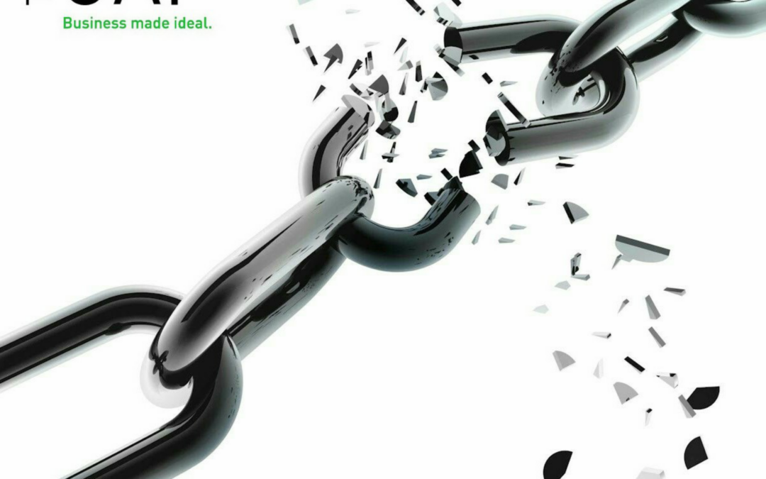 What makes a business resistant to crisis situations?