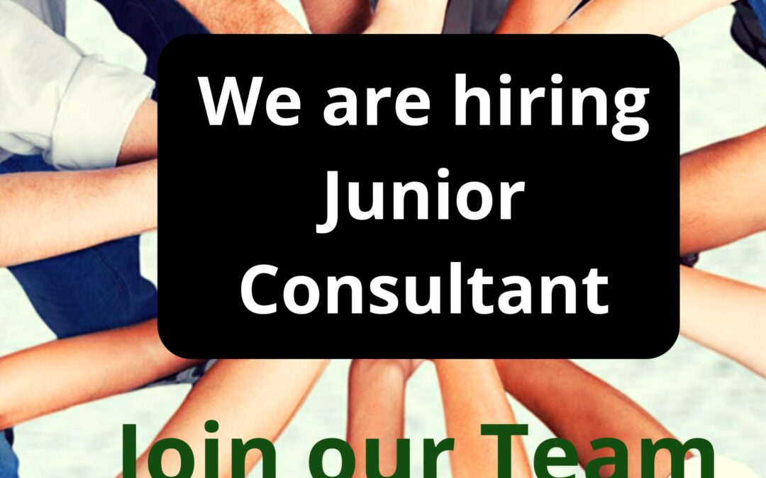 We are hiring -Junior Consultant