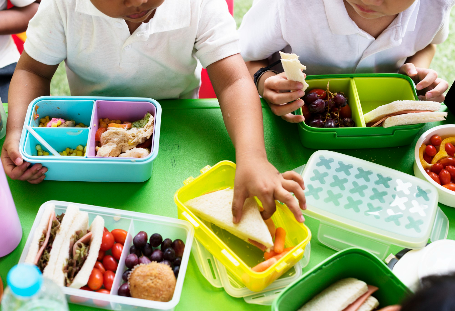 Food Safety and Hygiene in School Canteens