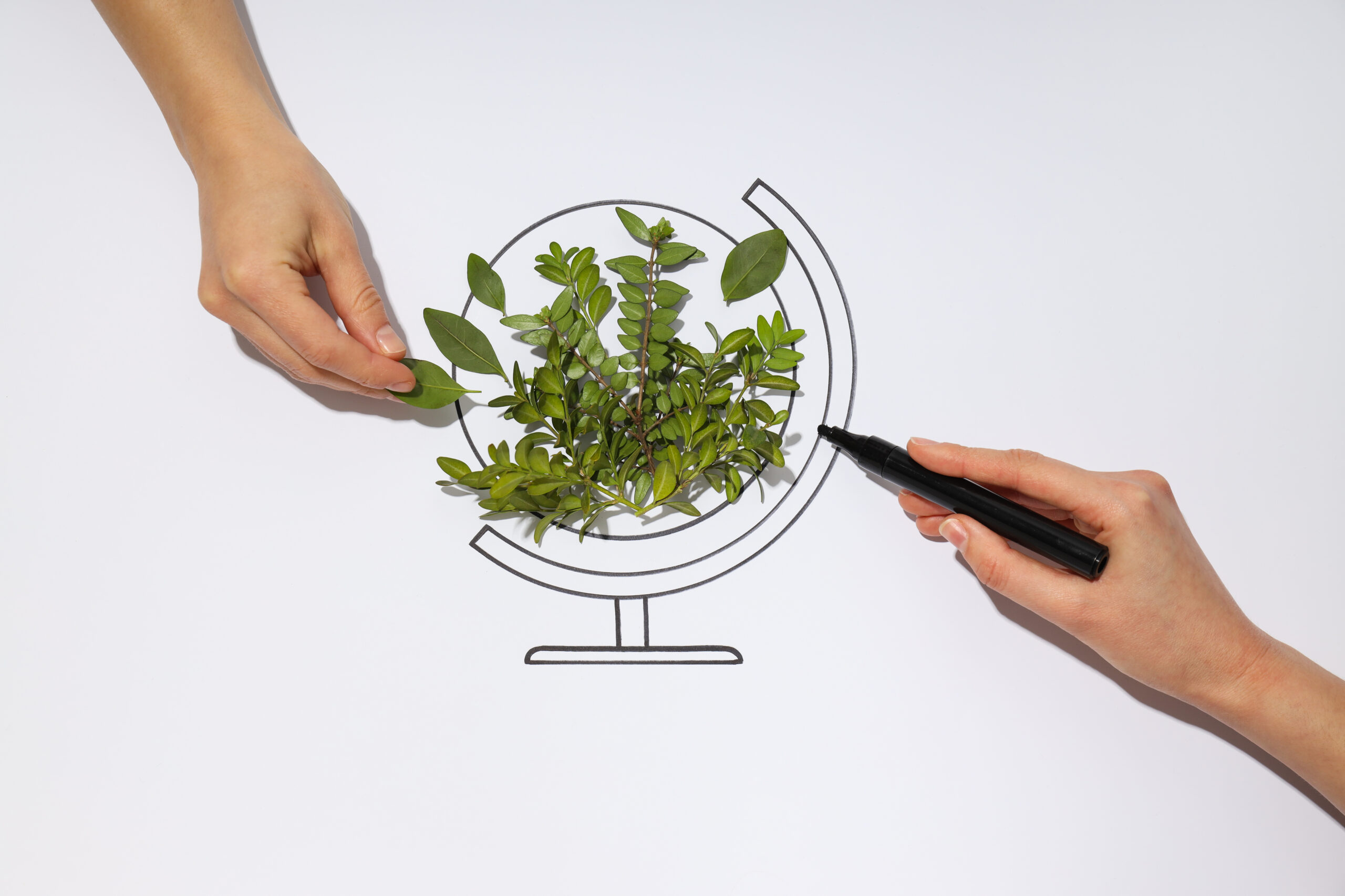 ESG Principles for Sustainable Business Development